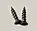 Hinge Screw white head  for hollow shutter